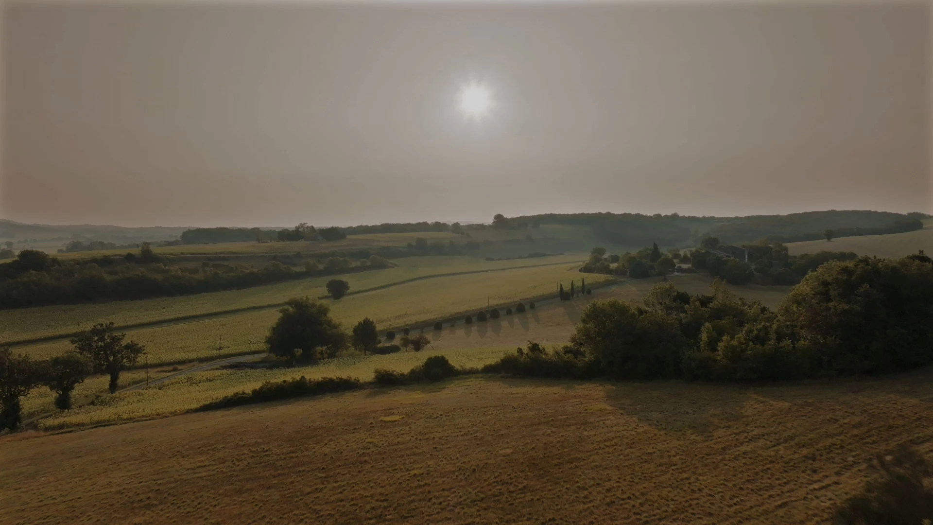 camboyer video poster