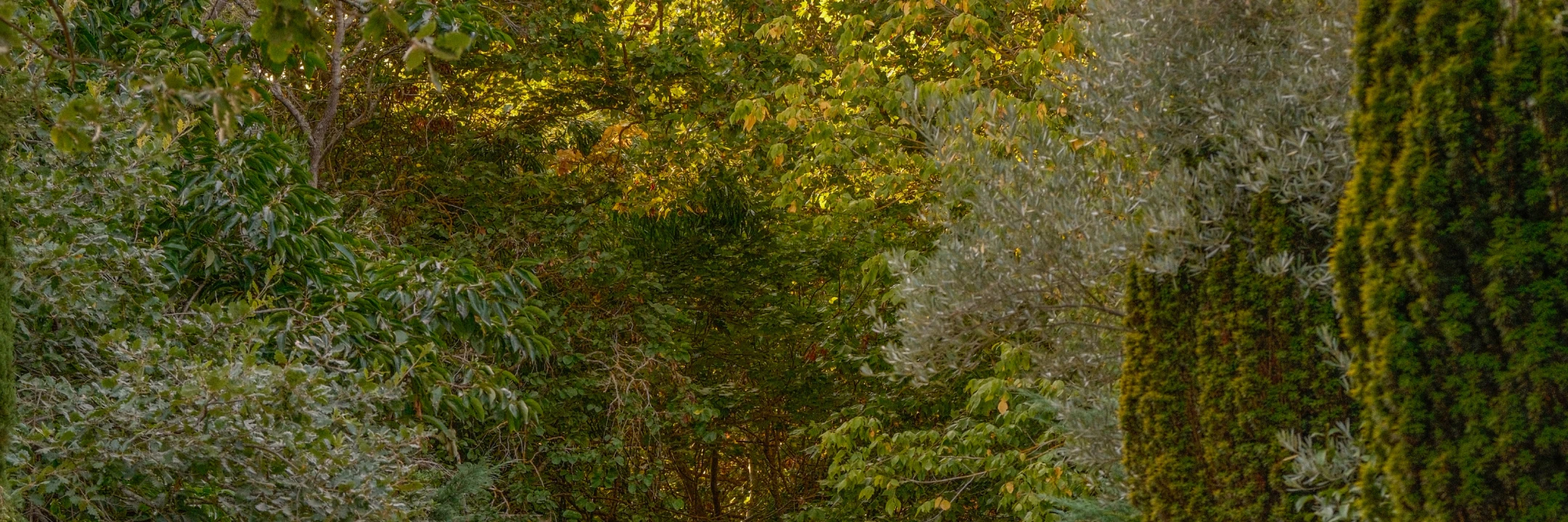 domaine de camboyer HD 32 sur 98